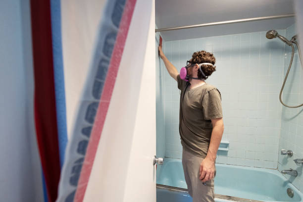  Hot Springs, SD Mold Removal Pros