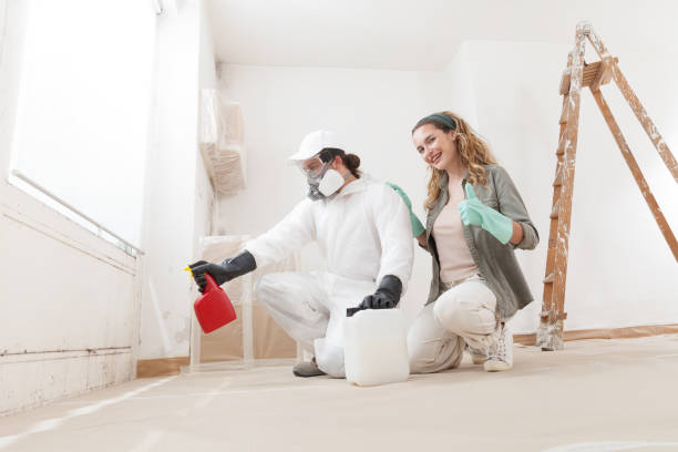 Mold Remediation for Vacation Homes in Hot Springs, SD